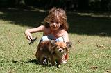 CHIHUAHUA - BROSSAGE 044
